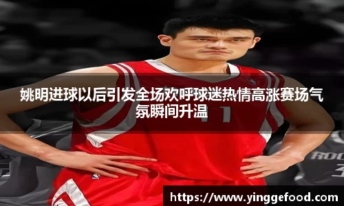  333体育官方首页网址
