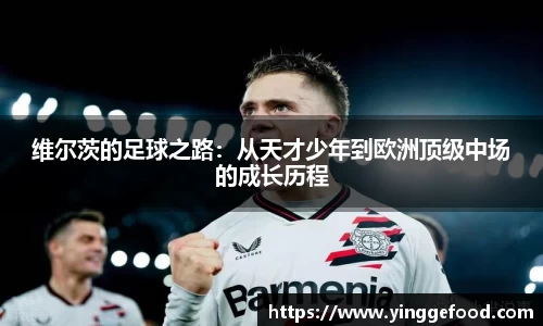  333体育官方网站