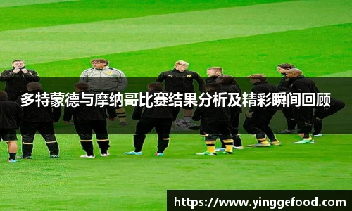  333体育官方app下载