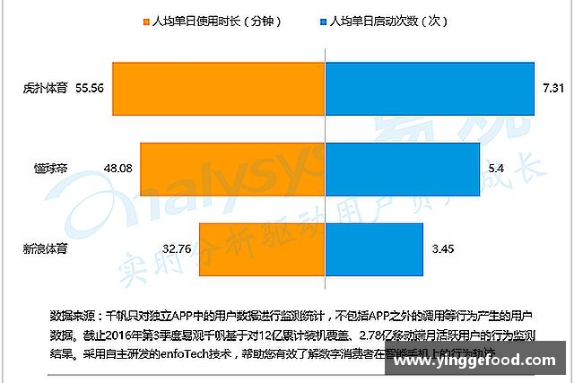 发现333体育